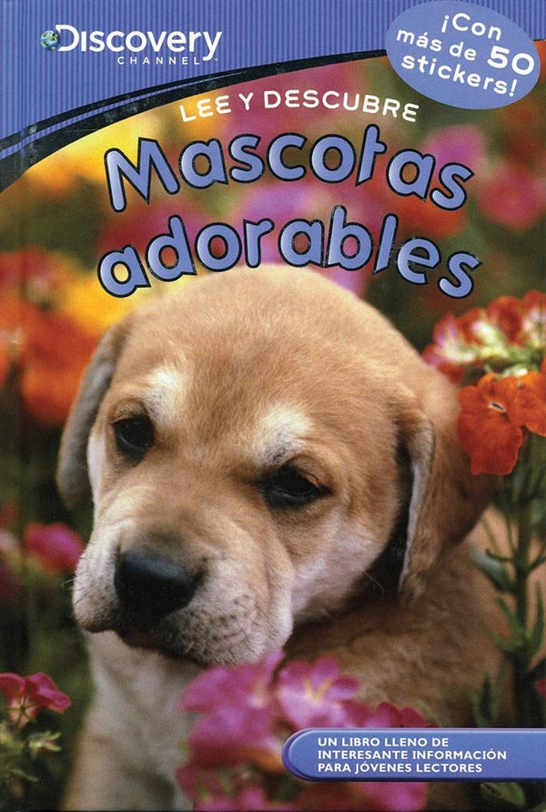Mascotas Adorables