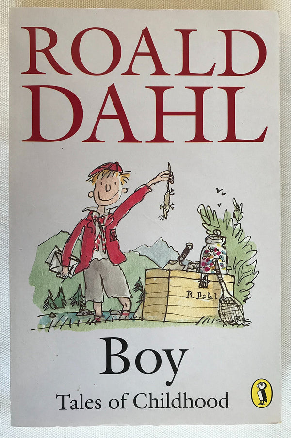 Boy: Tales of Childhood