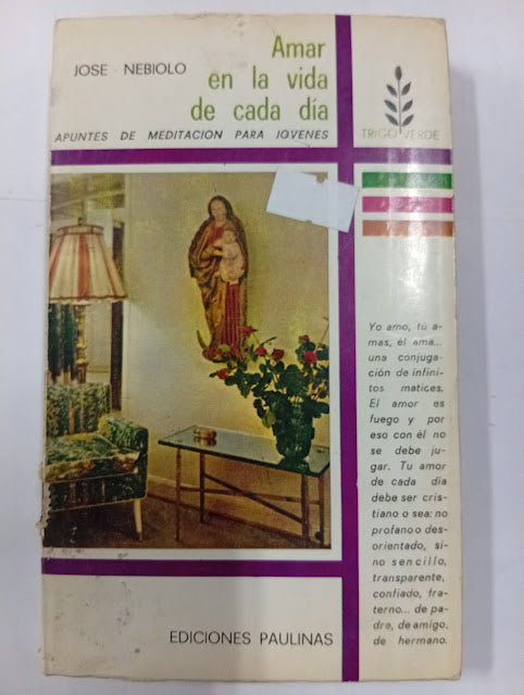 Amar en la vida de cada día: Apuntes de meditación para jóvenes