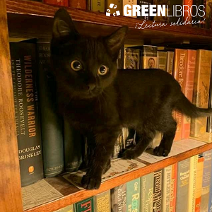 Mes de los gatos