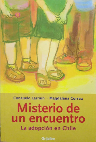 Misterio De Un Encuentro
