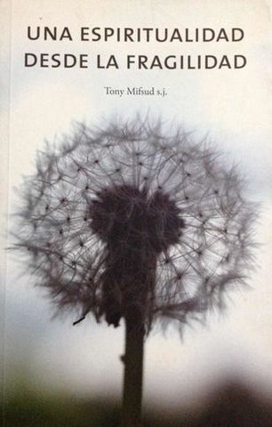 Una Espiritualidad desde la Fragilidad