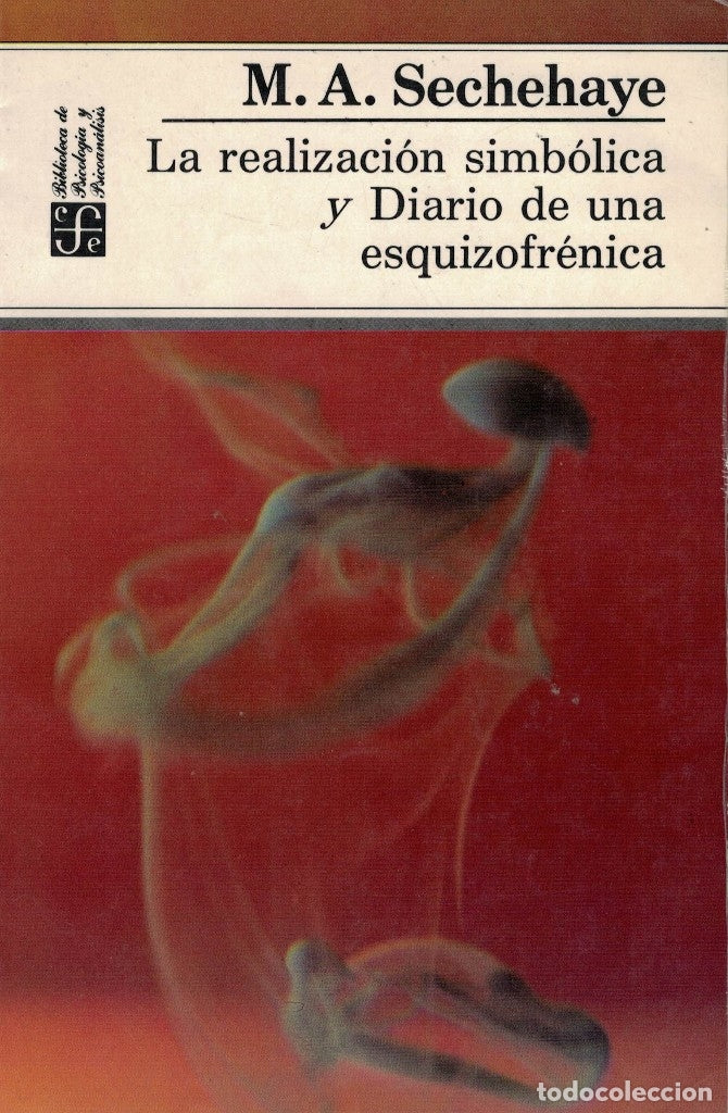 La realización simbólica y Diario de una esquizofrénica : exposición de un nuevo método psicoterapéutico