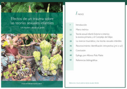 Efectos de un trauma sobre las teorias sexuales infantiles