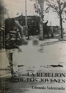 La rebelión de los jóvenes: Un estudio sobre anomia social