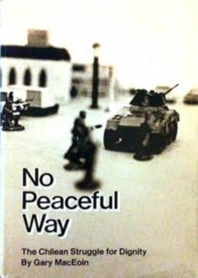 No peaceful way. The Chilean Struggle for Dignity