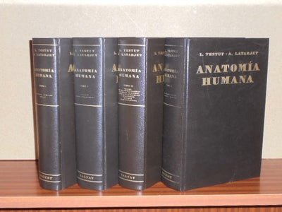 Tratado de Anatomía Humana – 4 tomos. Colección completa