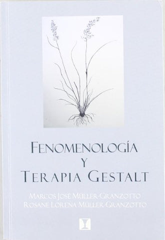 Fenomenologia Y Terapia Gestalt