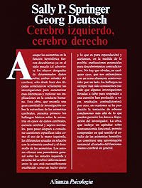 Cerebro izquierdo, cerebro derecho