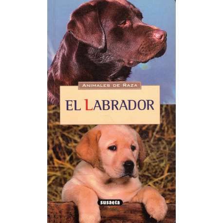 El labrador