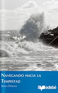 Navegando hacia la tempestad