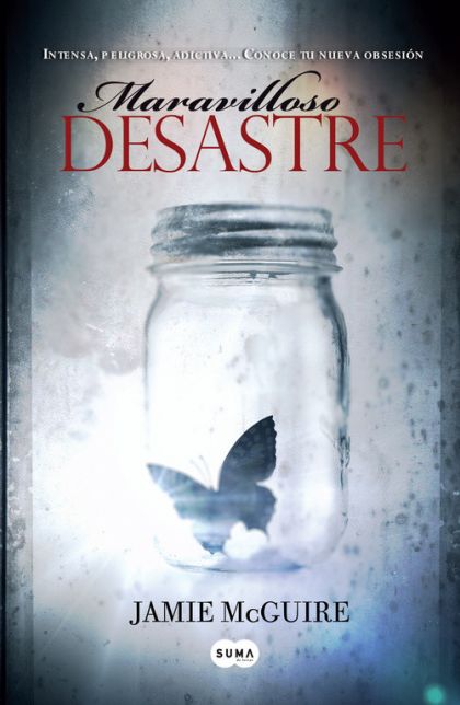 Maravilloso Desastre