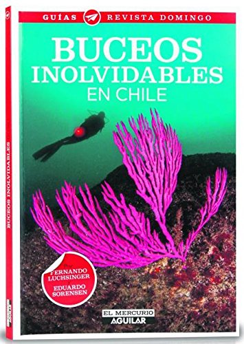 Buceos inolvidables en Chile