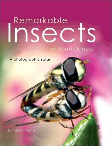 Remarkable insects of South Africa