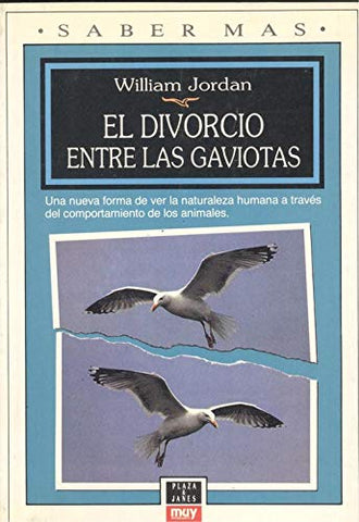 EL DIVORCIO ENTRE LAS GAVIOTAS