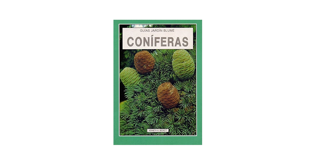 Coníferas