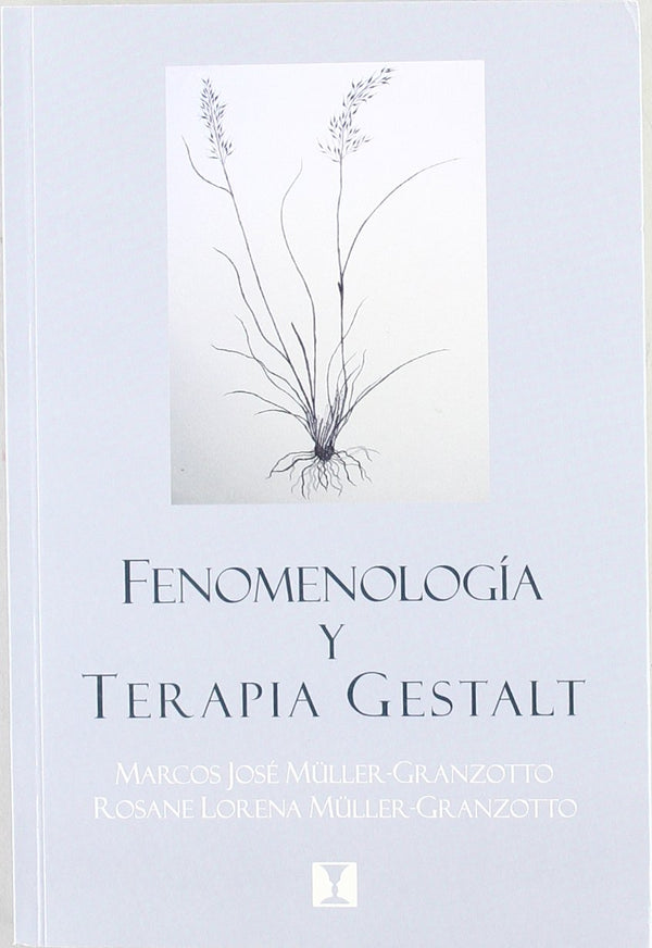 Fenomenologia Y Terapia Gestalt