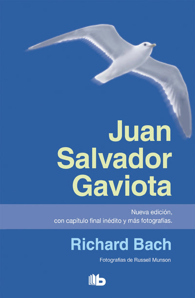 Juan salvador gaviota