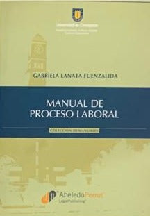 manual de proceso laboral