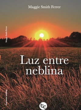 Luz entre neblina