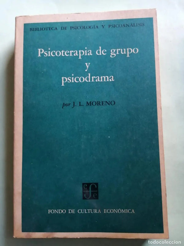 Psicoterapia de grupo y psicodrama: Introducción a la teoría y la praxis