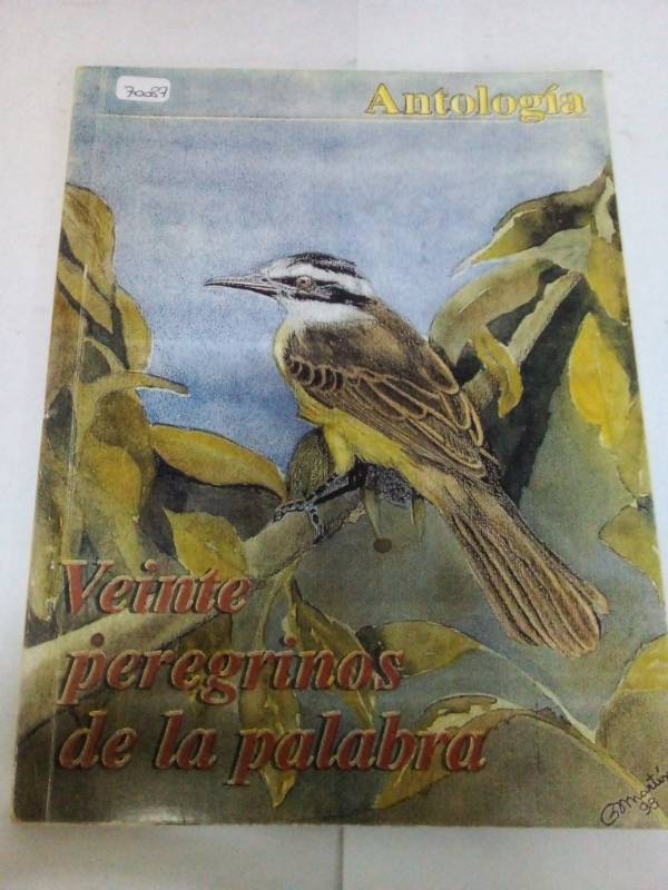 Veinte peregrinos de la palabra