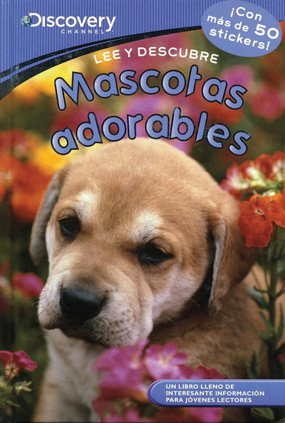 Mascotas Adorables