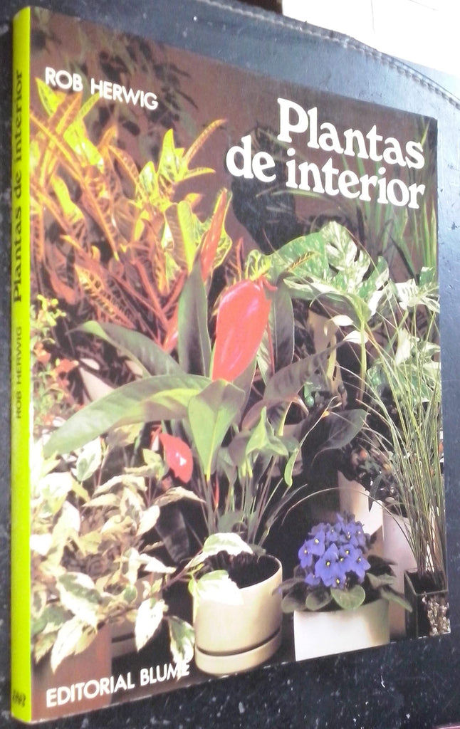 Plantas de interior