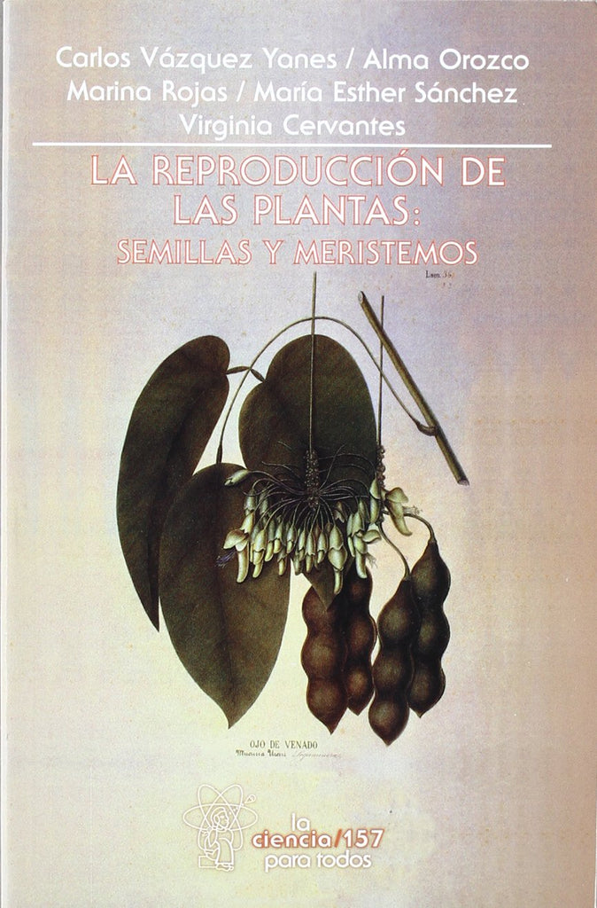 La reproducción de las plantas: semillas y meristemos (Spanish Edition)
