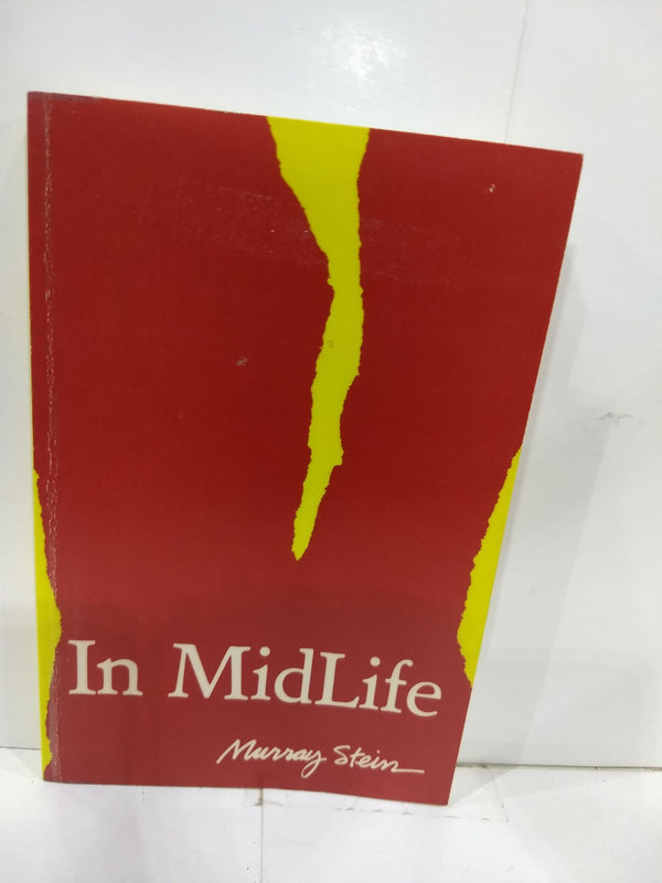 In Midlife: A Jungian Perspective (Seminar Series 15)