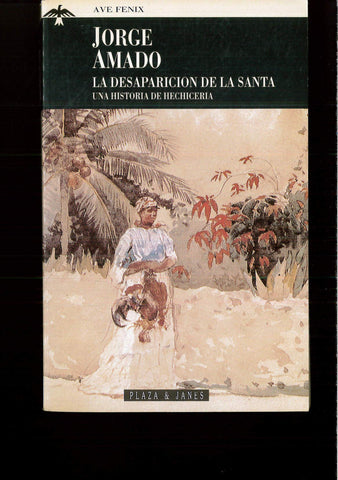 la desaparicion de la santa