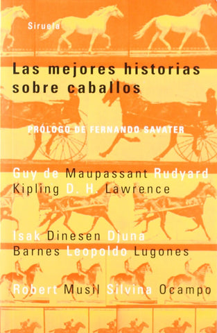 Las mejores historias sobre caballos (Las Tres Edades)