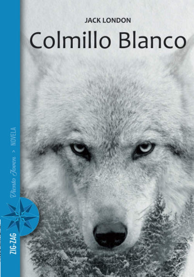 Colmillo blanco
