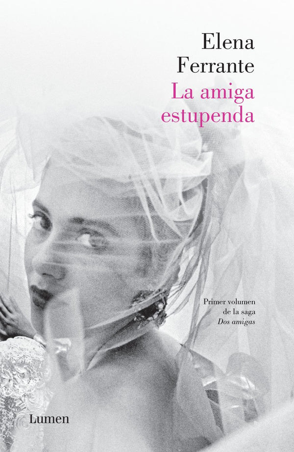 La amiga estupenda 1 (Dos amigas 1)