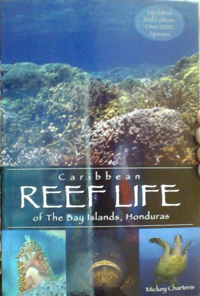 Caribbean Reef Life of the Bay Islands, Honduras