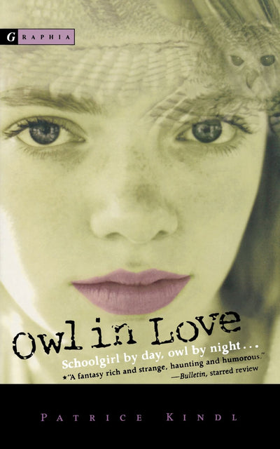 Owl In Love