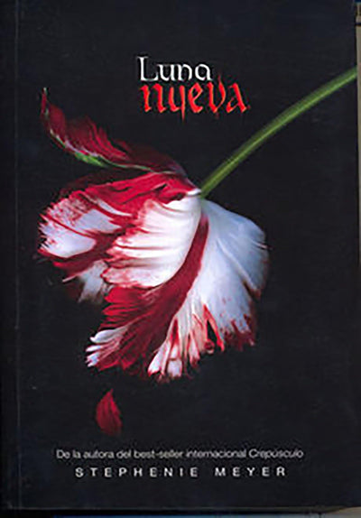 Luna Nueva