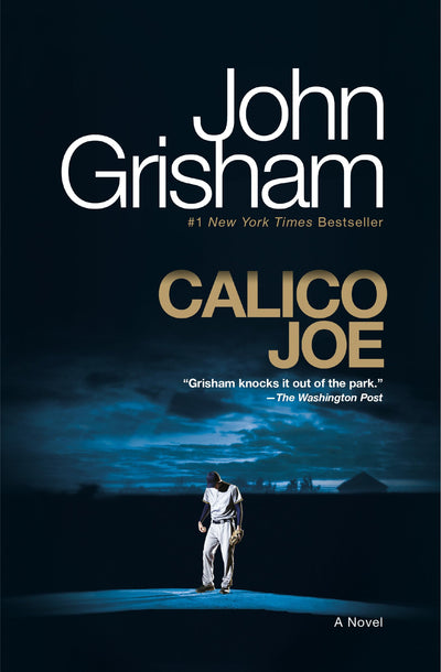 Calico Joe: A Novel