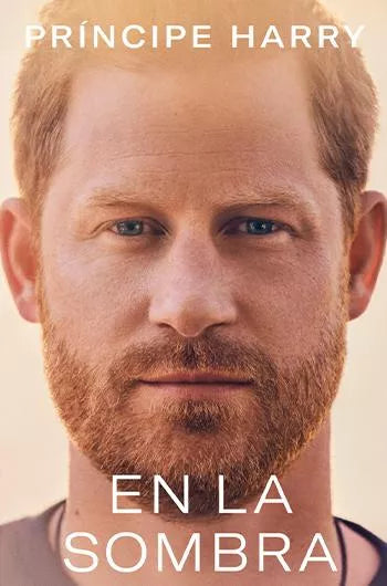 En la sombra