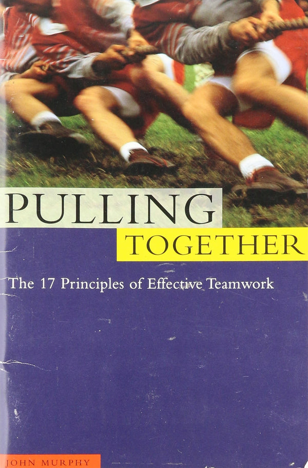 Pulling together: The 17 principles of effective teamwork (Successories library)