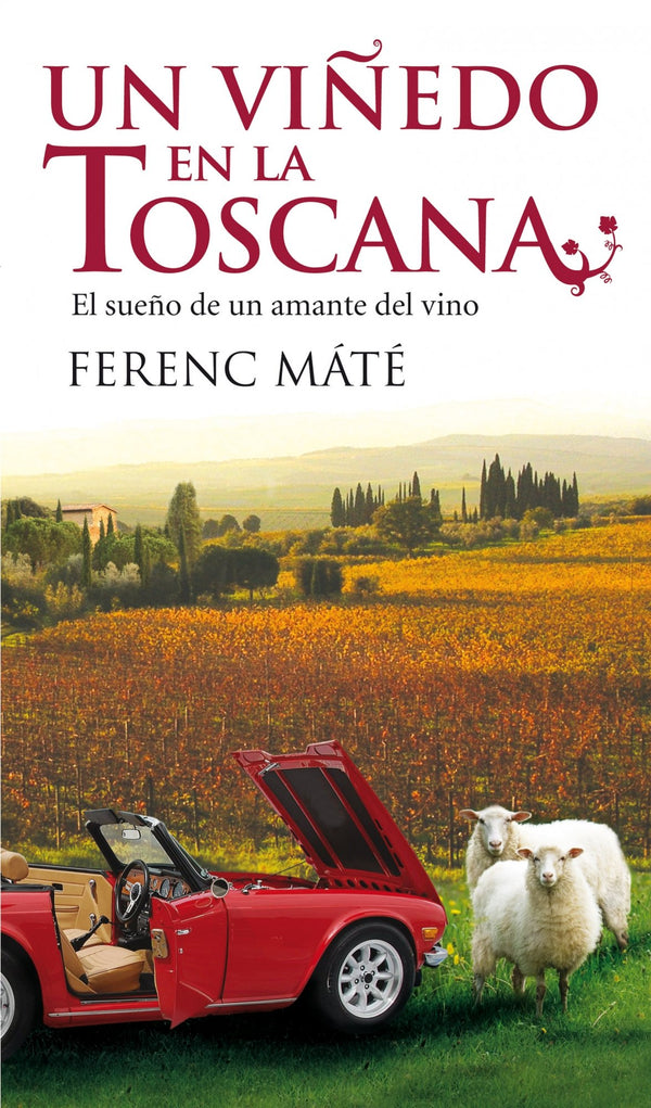 Un viñedo en la Toscana