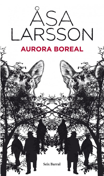 Aurora Boreal