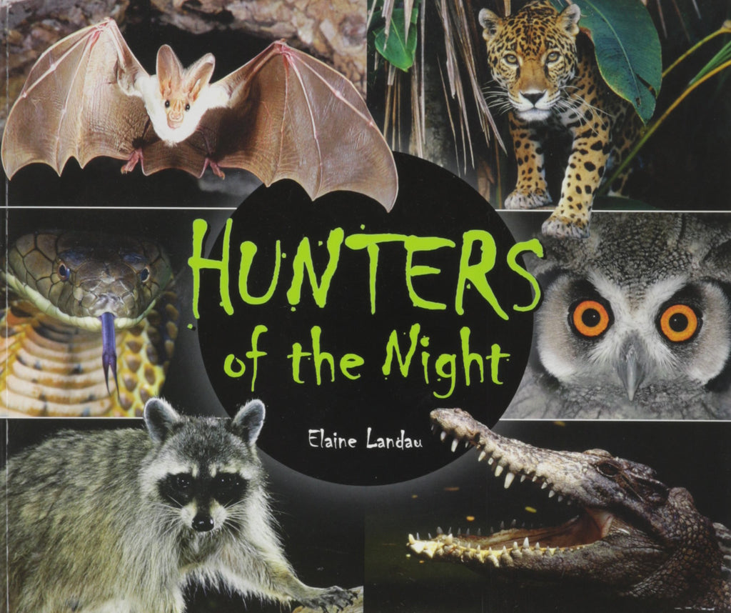 Hunters of the Night (Animals After Dark)