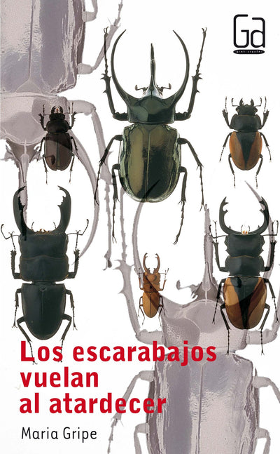 Los Escarabajos Vuelan Al Atardecer