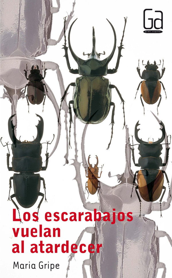 Los Escarabajos Vuelan Al Atardecer