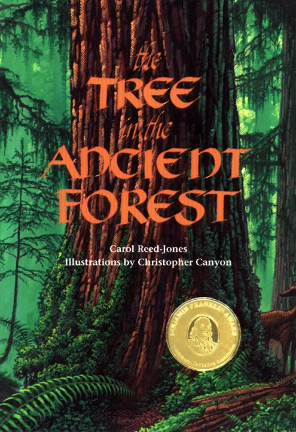 The Tree in the Ancient Forest