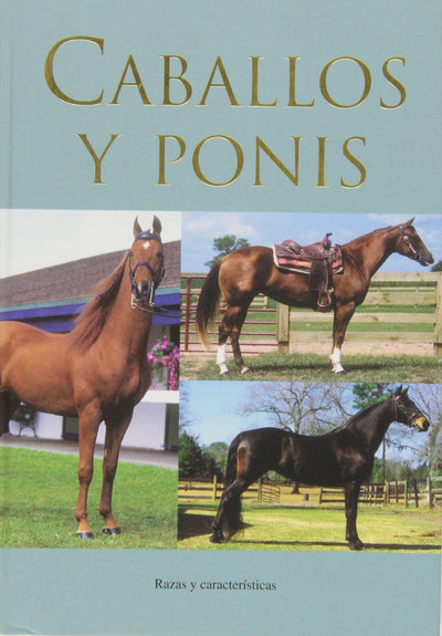 CABALLOS Y PONIS