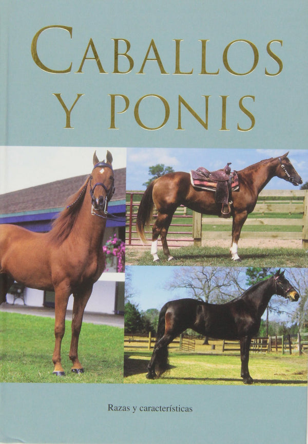 CABALLOS Y PONIS
