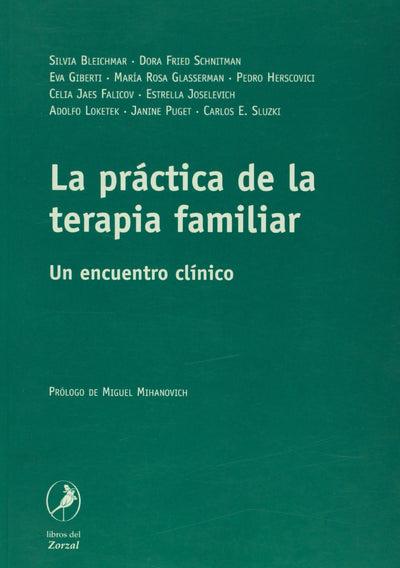 La practica de la terapia familiar. Un encuentro clínico