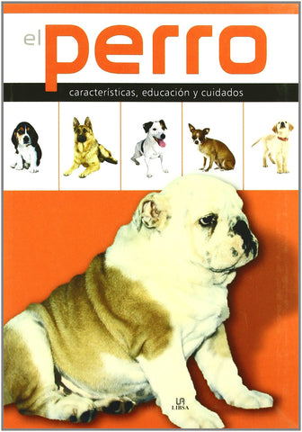 El Perro: Características, Educación y Cuidados